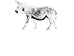 Bankersmith Texas